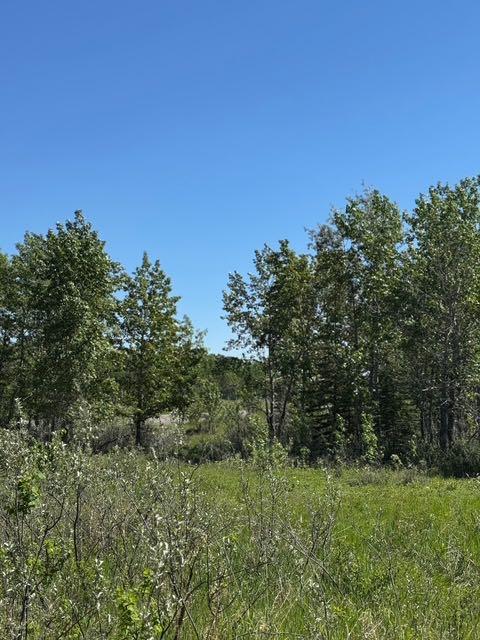 48107 233 Avenue East