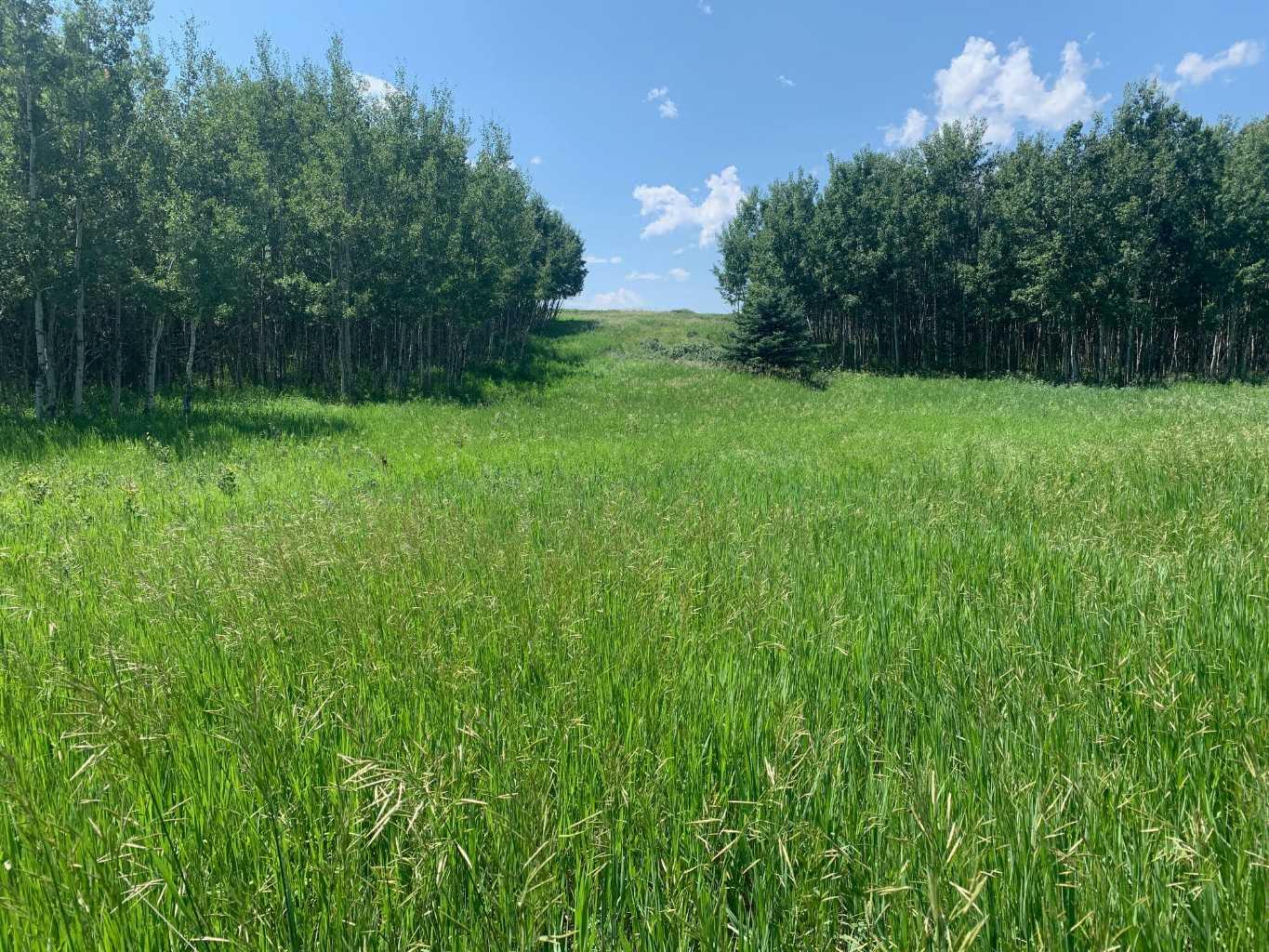 75.50 Acres North Springbank  5;3;25;28;SE