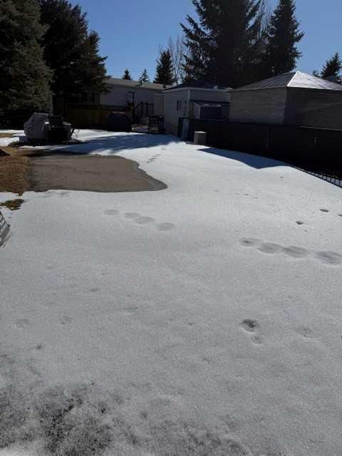 Photo of 370165 79 Street E #50, Rural Foothills County, AB T0L 0A0 (MLS # A2292257)