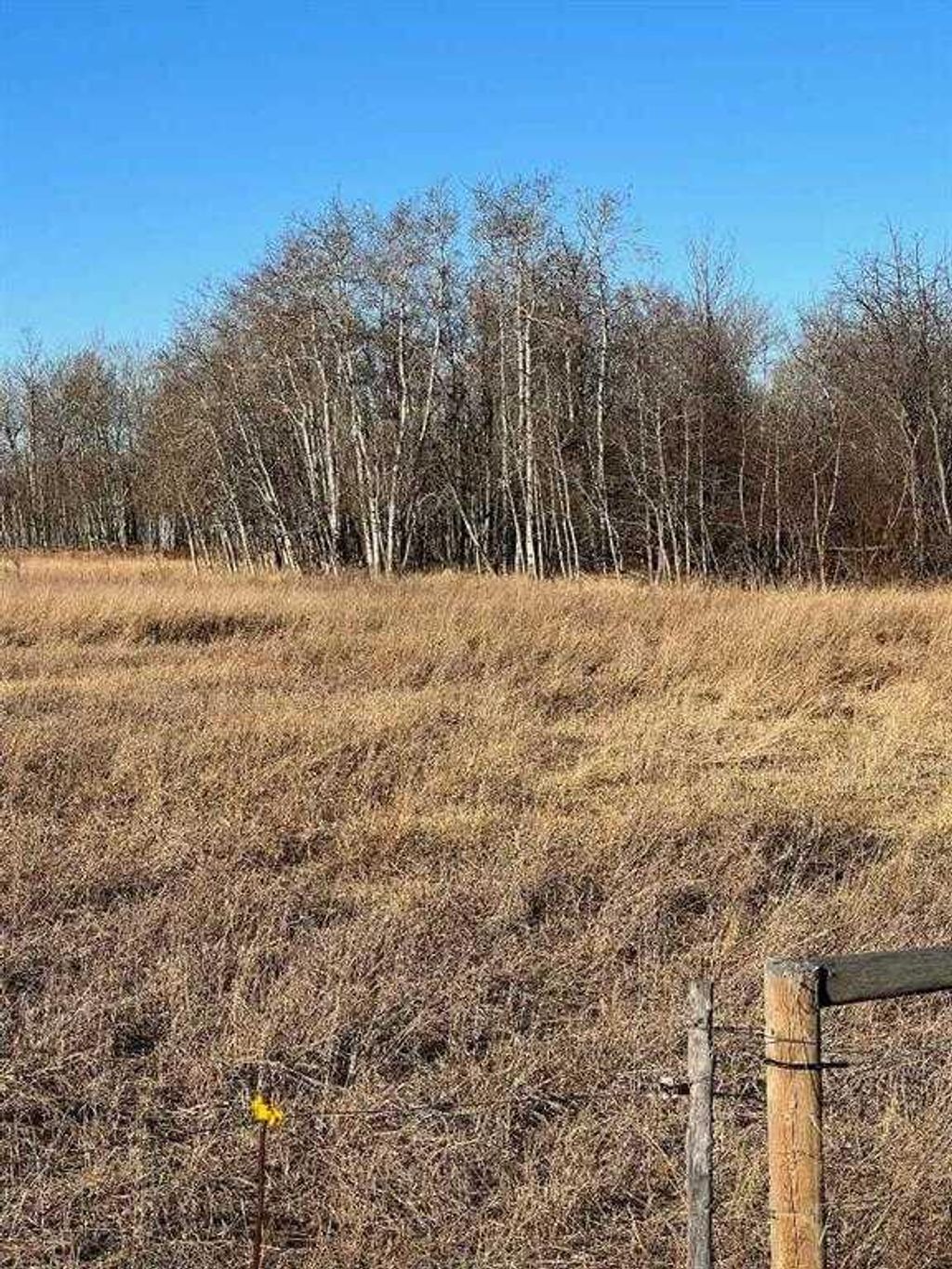 Photo of SE-32-71-5-W6 ., Grande Prairie, AB T8X 0G4 (MLS # A2312663)
