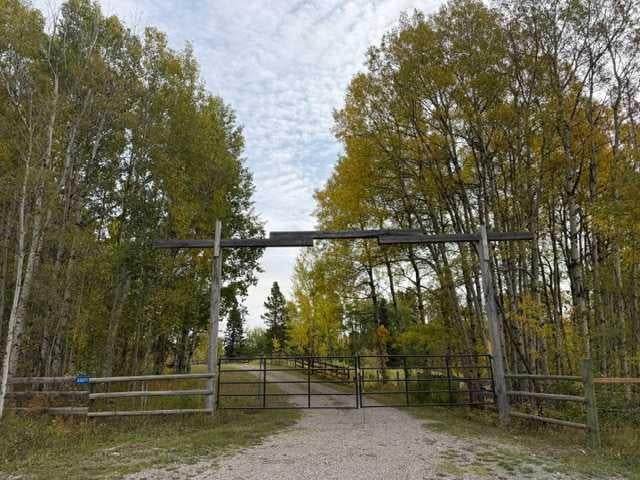 Photo of 33371 Range Road 63, Rural Mountain View County, AB T0M 0K0 (MLS # A2347503)