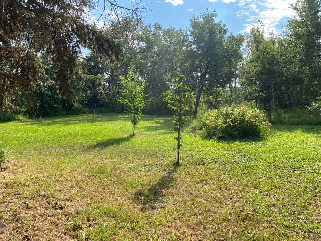 Photo of 2015 18 Street, Delburne, AB T0M 0V0 (MLS # A2339844)