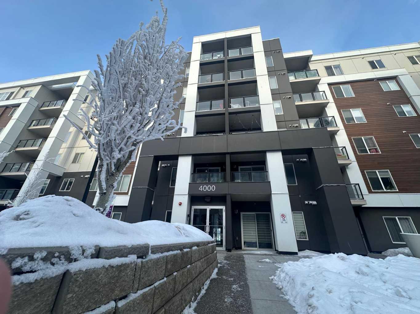 4641 128 Avenue NE 4301