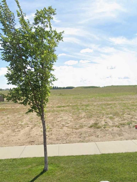 Photo of 7004 38 Avenue, Camrose, AB T4V 5B8 (MLS # A2298408)