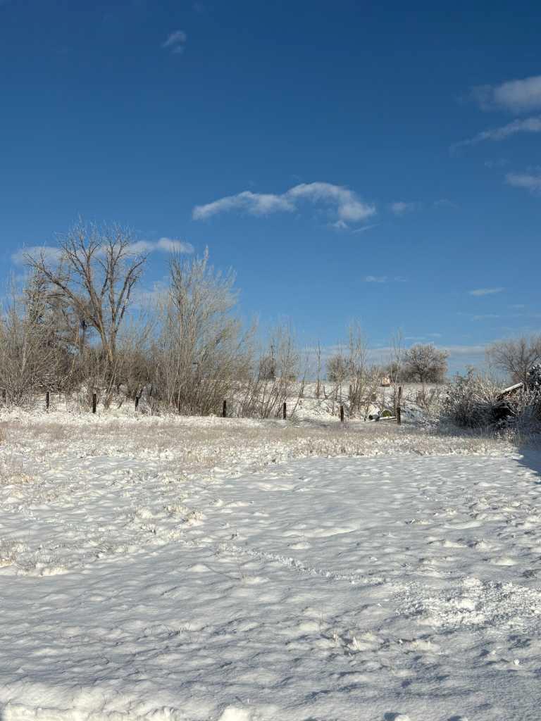 8 Canyon Creek Drive SW