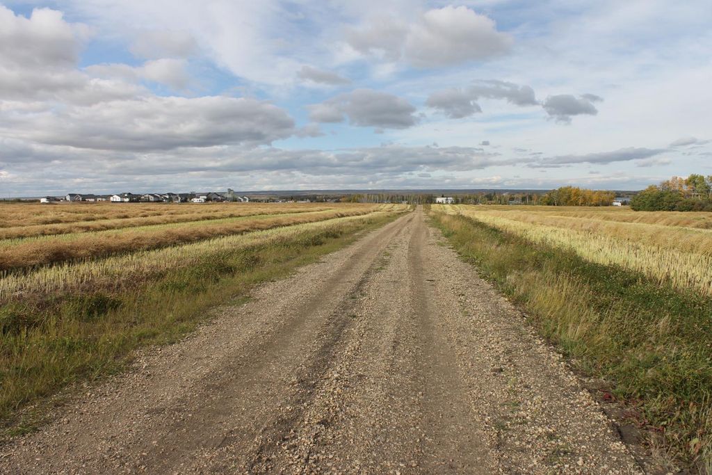 Photo of 9300 101 Street, Sexsmith, AB T0H 3C0 (MLS # A1165127)