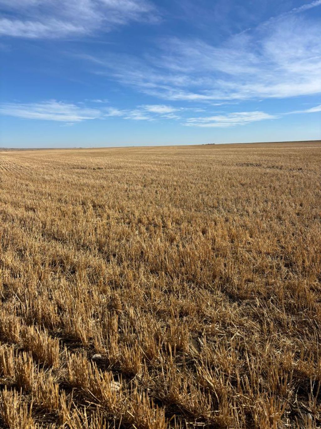 Photo of on RR 224, Barons, AB T0L 0G0 (MLS # A2266529)