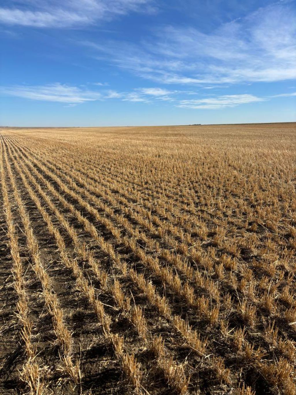 Photo of on RR 224, Barons, AB T0L 0G0 (MLS # A2266529)