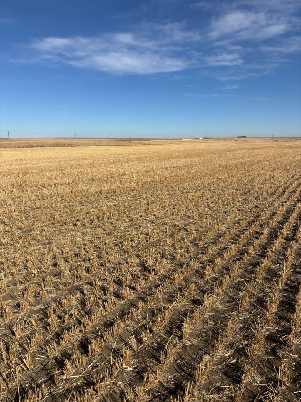 Photo of on RR 224, Barons, AB T0L 0G0 (MLS # A2266529)