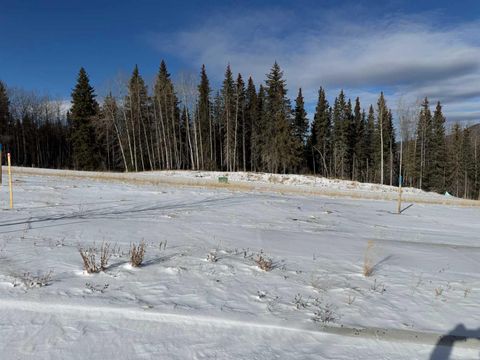 456 LILY Avenue Nordegg AB T0M 2H0