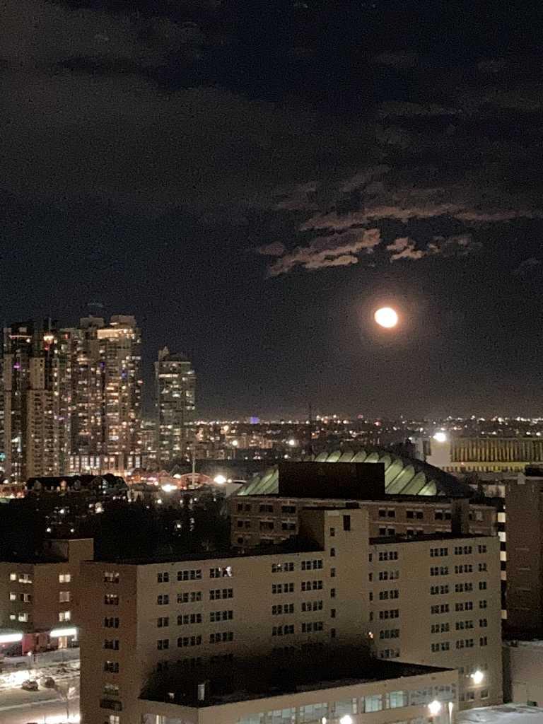 330 26 Avenue SW 1703