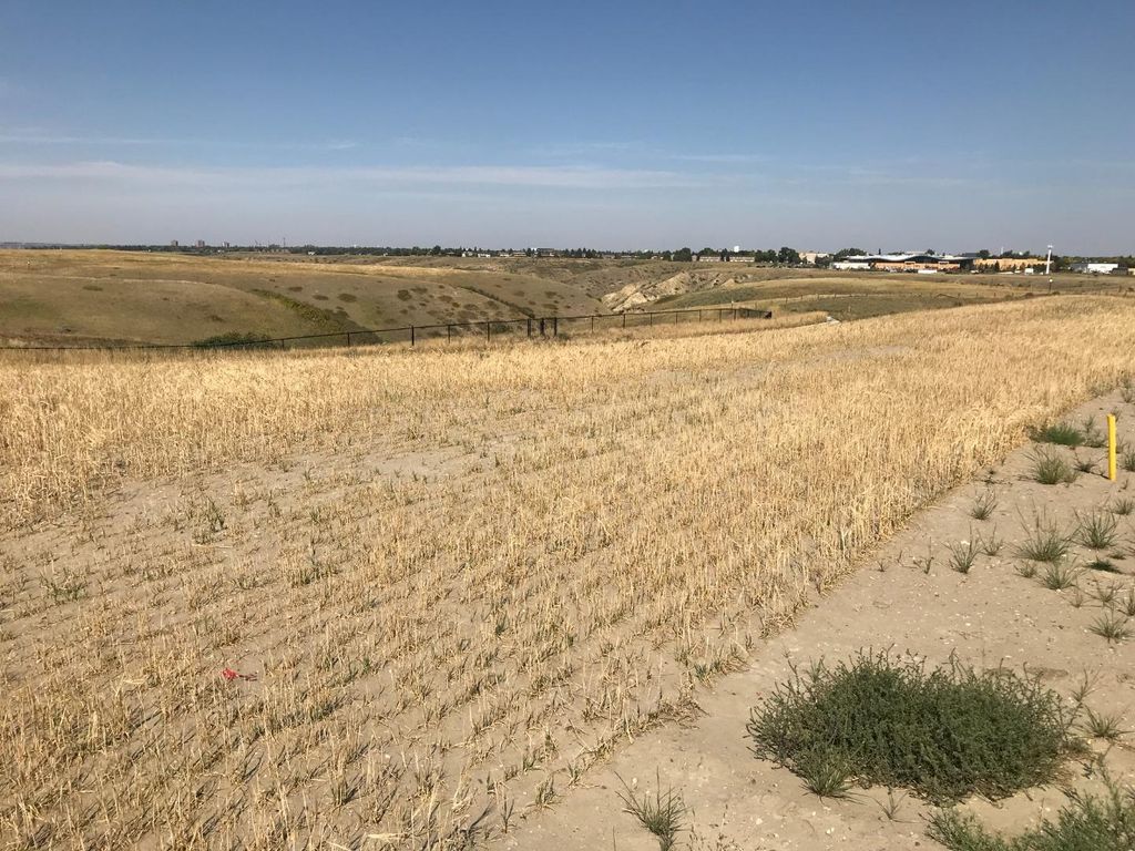 Photo of 508 Gold Canyon Place S, Lethbridge, AB T1K 8J1 (MLS # A1037880)