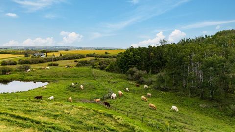 402 Avenue Rural Foothills County AB T1V 2E0