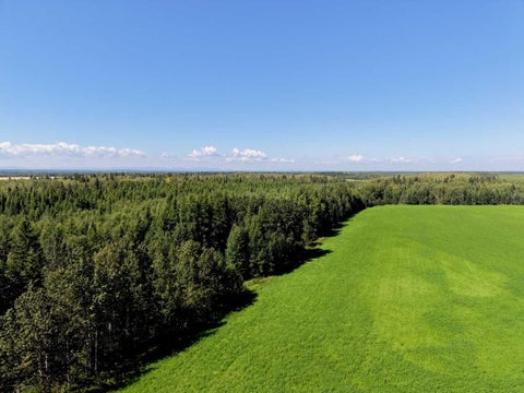Photo of 375012 Range Road 6-0, Rural Clearwater County, AB T0M 2A4 (MLS # A2338530)