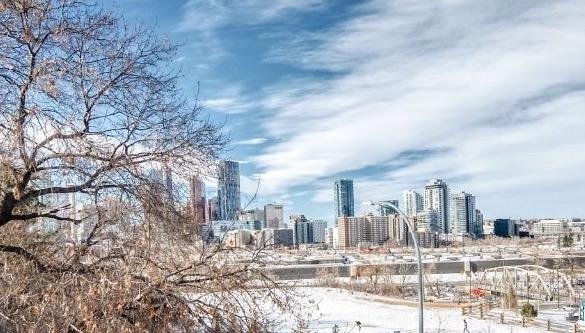 1108 Bellevue Avenue SE