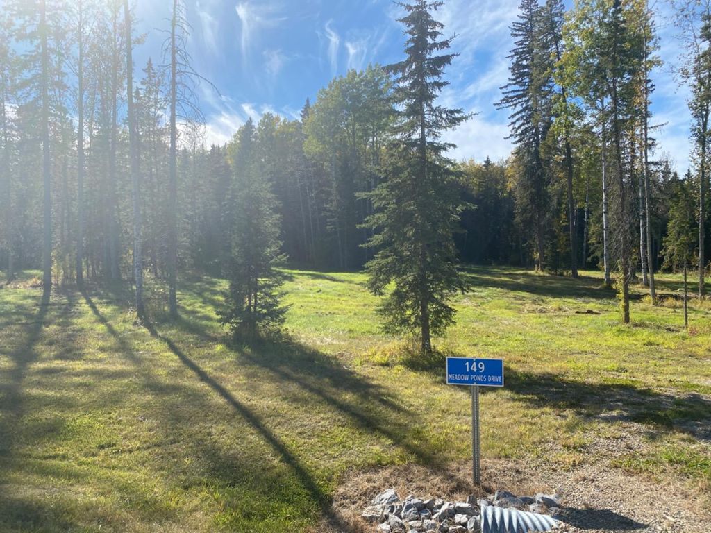 Photo of 149 Meadow Ponds Drive, Rural Clearwater County, AB T4T 1A7 (MLS # A1259228)