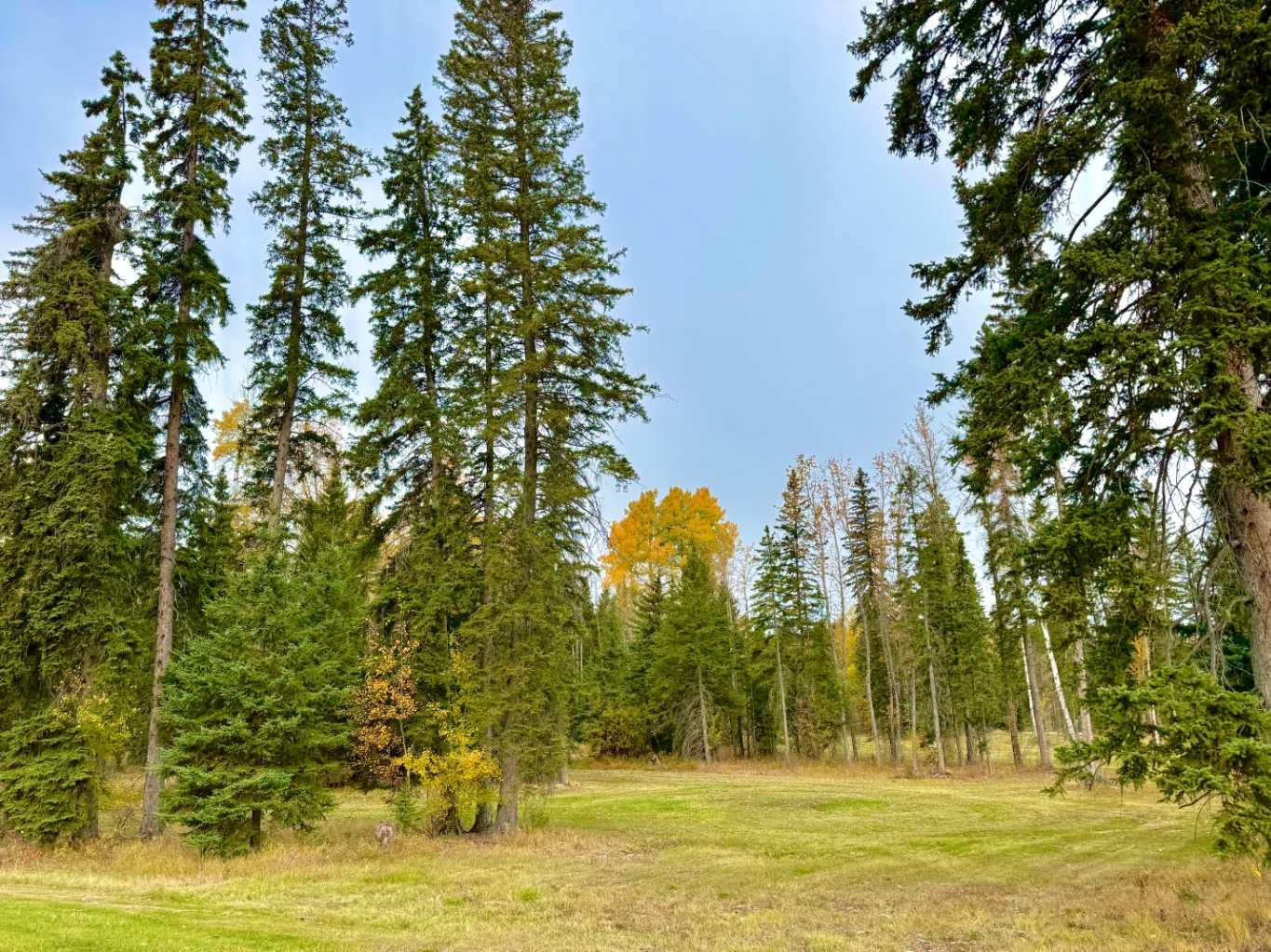 202 Meadow Ponds Drive