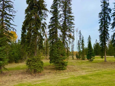 Photo of 202 Meadow Ponds Drive, Rural Clearwater County, AB T4T 1A7 (MLS # A2264687)