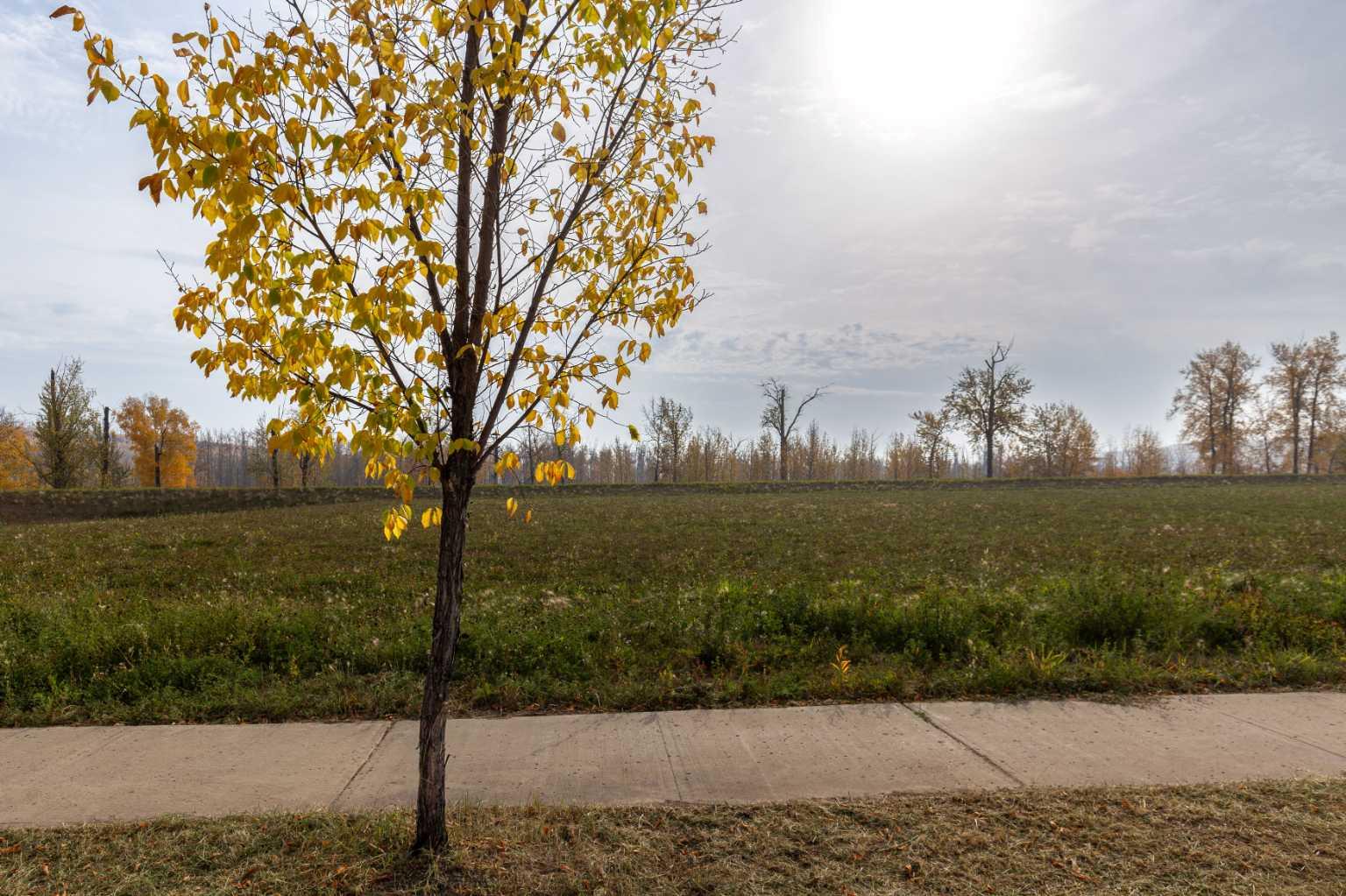 141 Fontaine Crescent 16