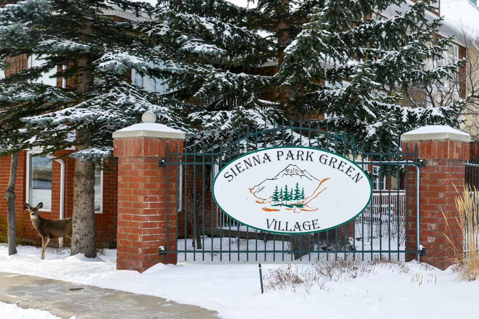 1202 Sienna Park Green SW #