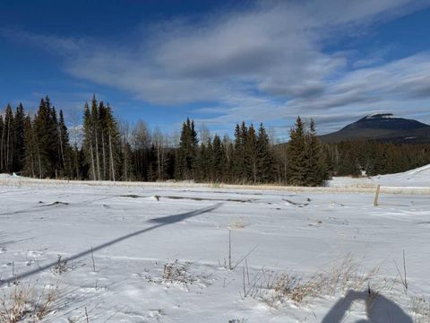 432 LILY Avenue Nordegg AB T0M 2H0