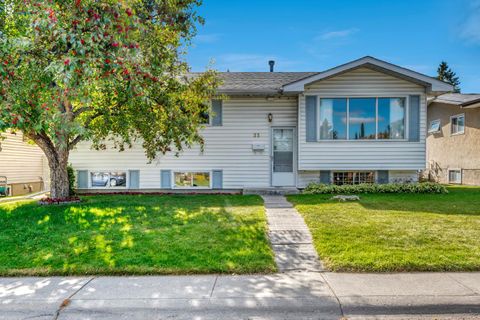 23 Brazeau Crescent SW Calgary AB T2W 0Z2