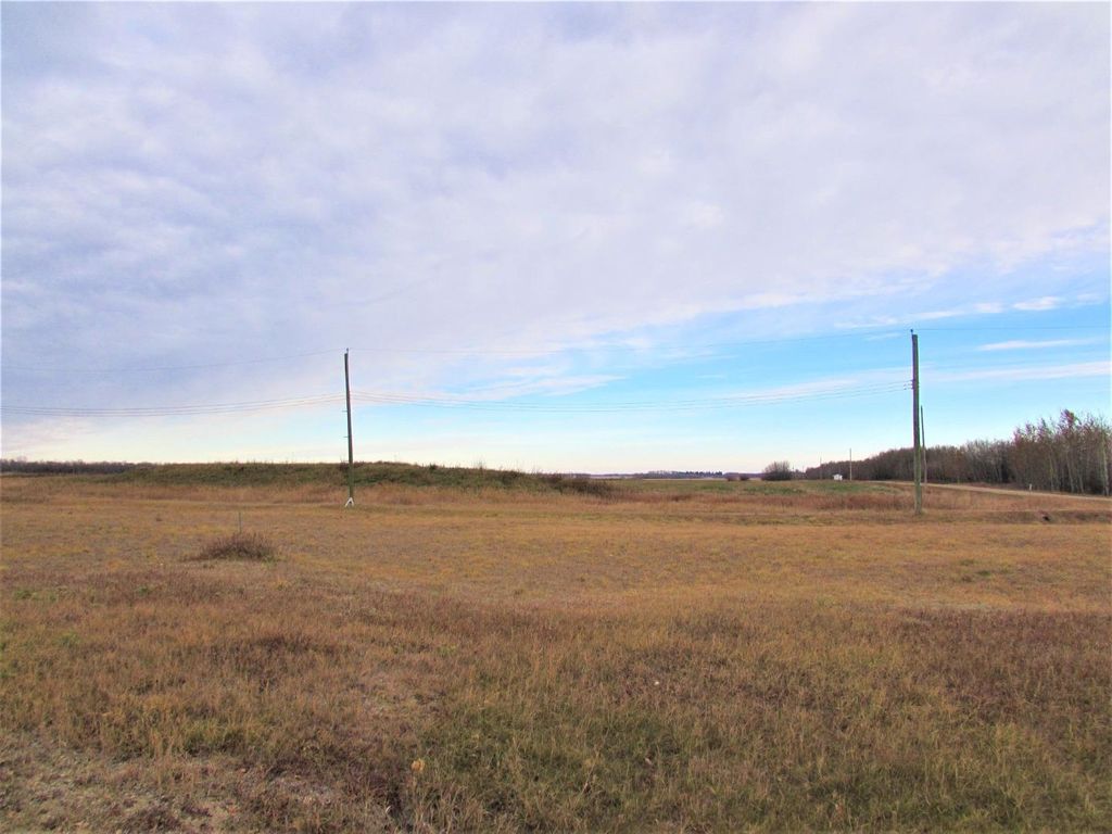 Photo of 110 Alberta Street, Kingman, AB T0B 2M0 (MLS # A1156343)