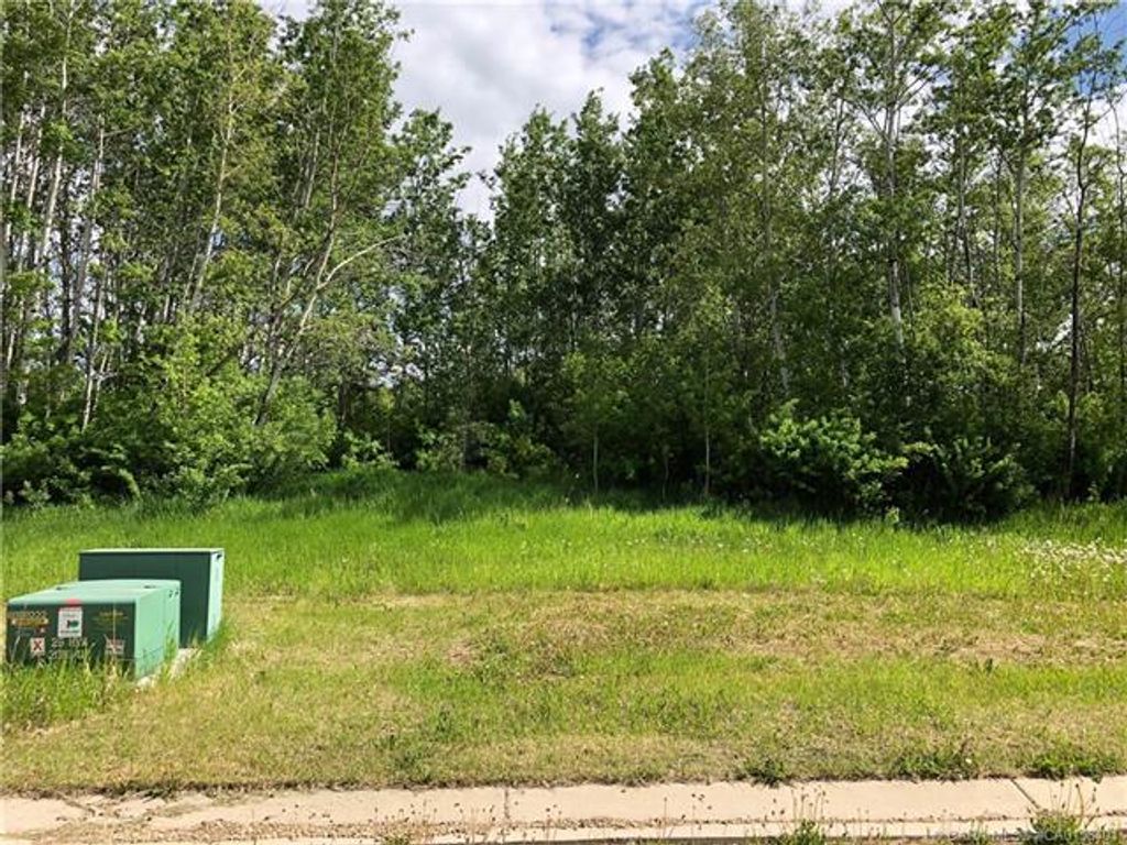Photo of Lot 8 44 Avenue Close, Alix, AB T0C 0B0 (MLS # A2106672)