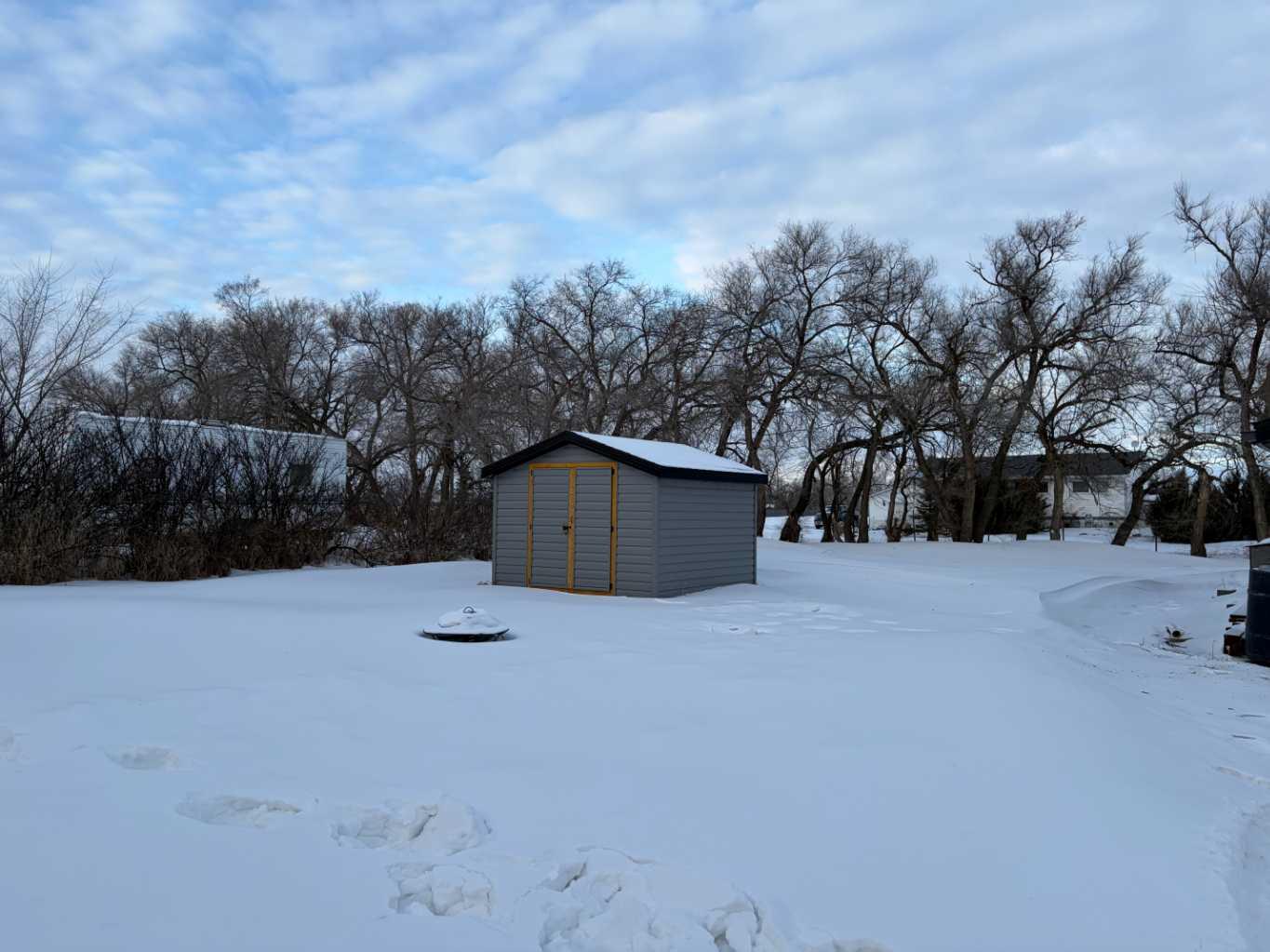 100 Balaclava Street