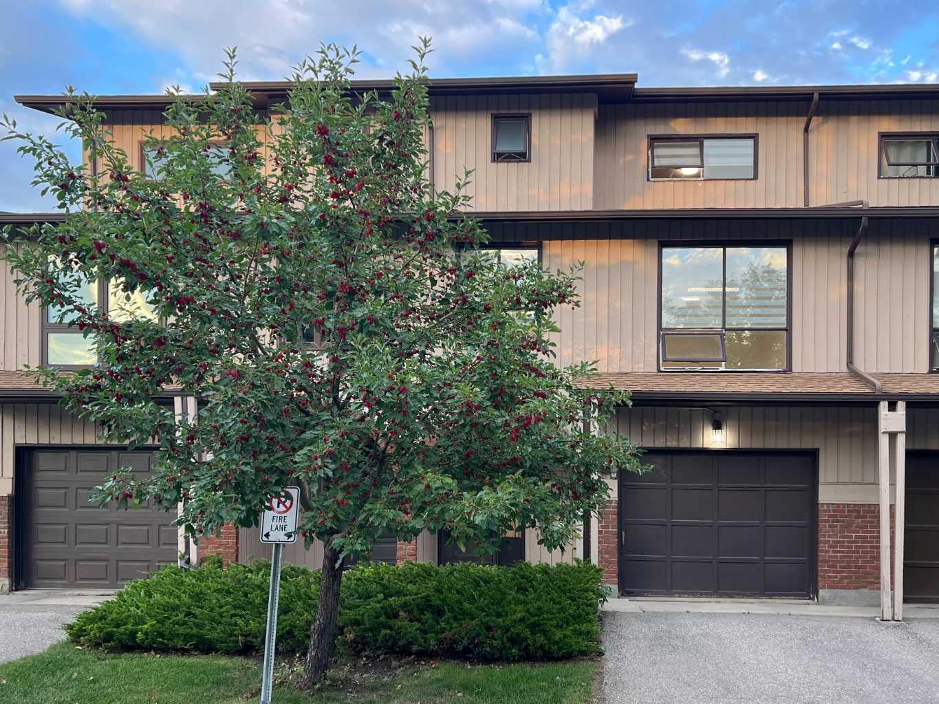 58 Canterbury Gardens SW