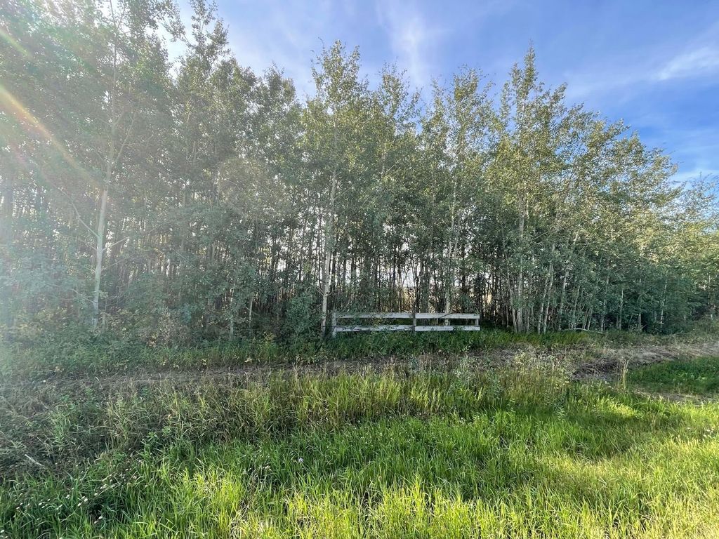 Photo of Chinook Valley Road, Rural Northern Lights, County of, AB T0H 1E0 (MLS # A1142192)
