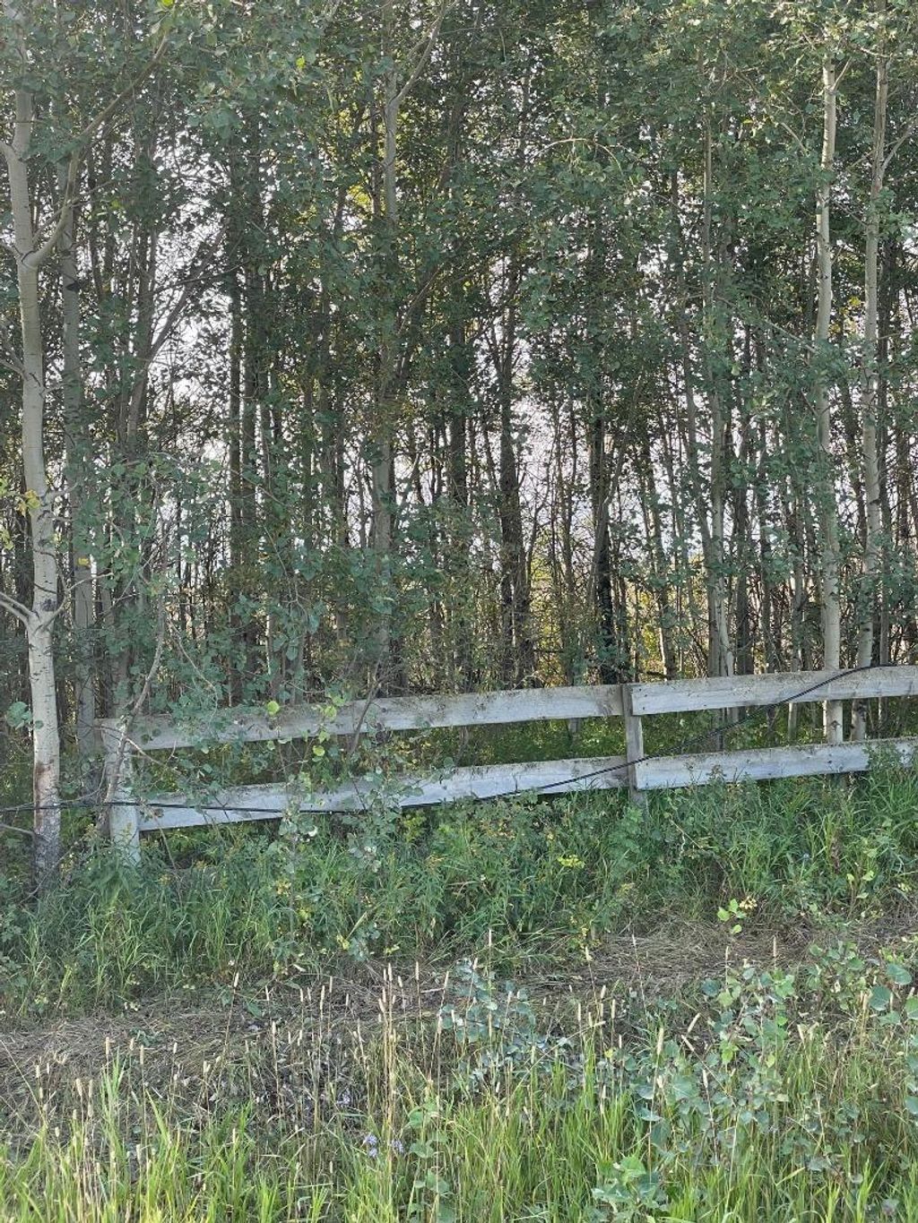 Photo of Chinook Valley Road, Rural Northern Lights, County of, AB T0H 1E0 (MLS # A1142192)