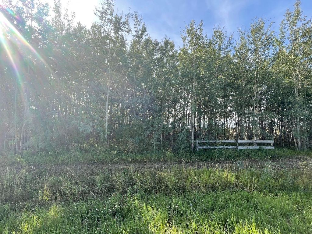 Photo of Chinook Valley Road, Rural Northern Lights, County of, AB T0H 1E0 (MLS # A1142192)