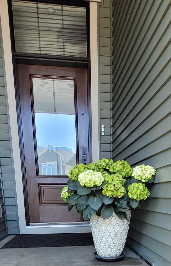 352 Coopersfield Rise SW