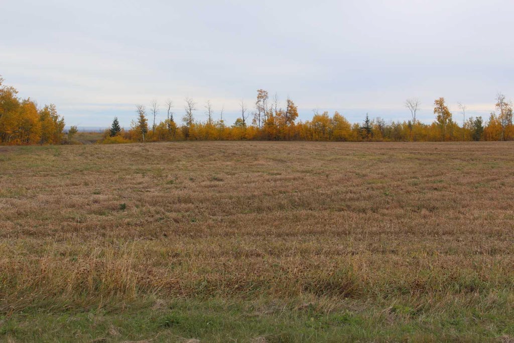 Photo of 690 Hwy 234 Range, Rural Northern Lights, County of, AB T0H 1A0 (MLS # A2353122)