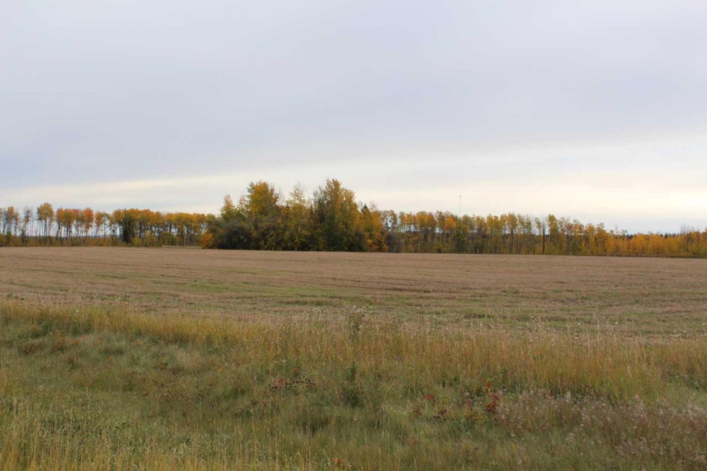 Photo of 690 Hwy 234 Range, Rural Northern Lights, County of, AB T0H 1A0 (MLS # A2353122)