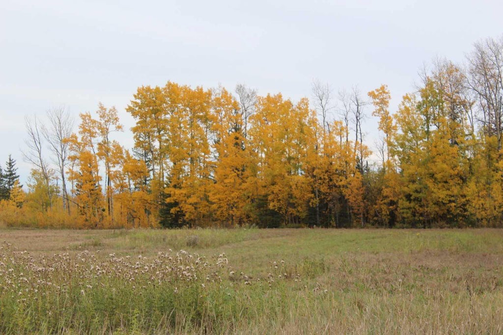 Photo of 690 Hwy 234 Range, Rural Northern Lights, County of, AB T0H 1A0 (MLS # A2353122)