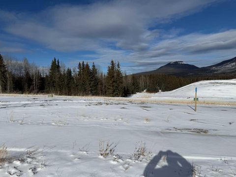 428 LILY Avenue Nordegg AB T0M 2H0