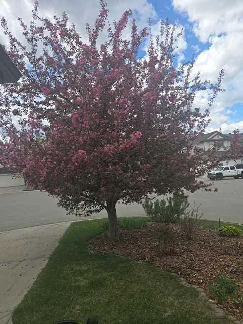 Photo of 204 Eversyde Mews SW, Calgary, AB T2Y 5A4 (MLS # A2337730)