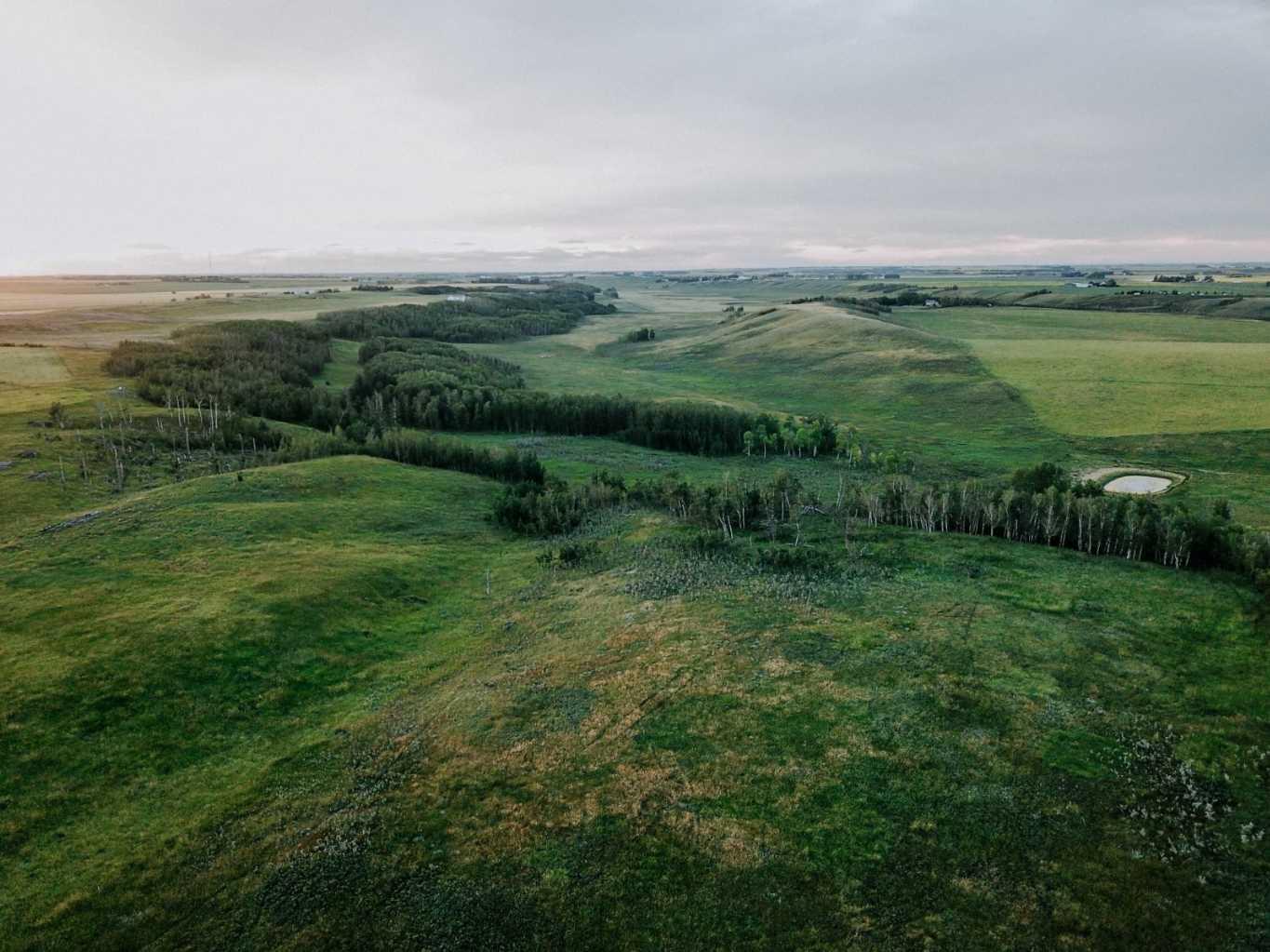 30480 Range Road 12 16