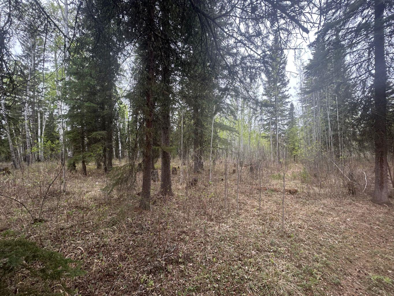 148 Christina Lake Drive Rr