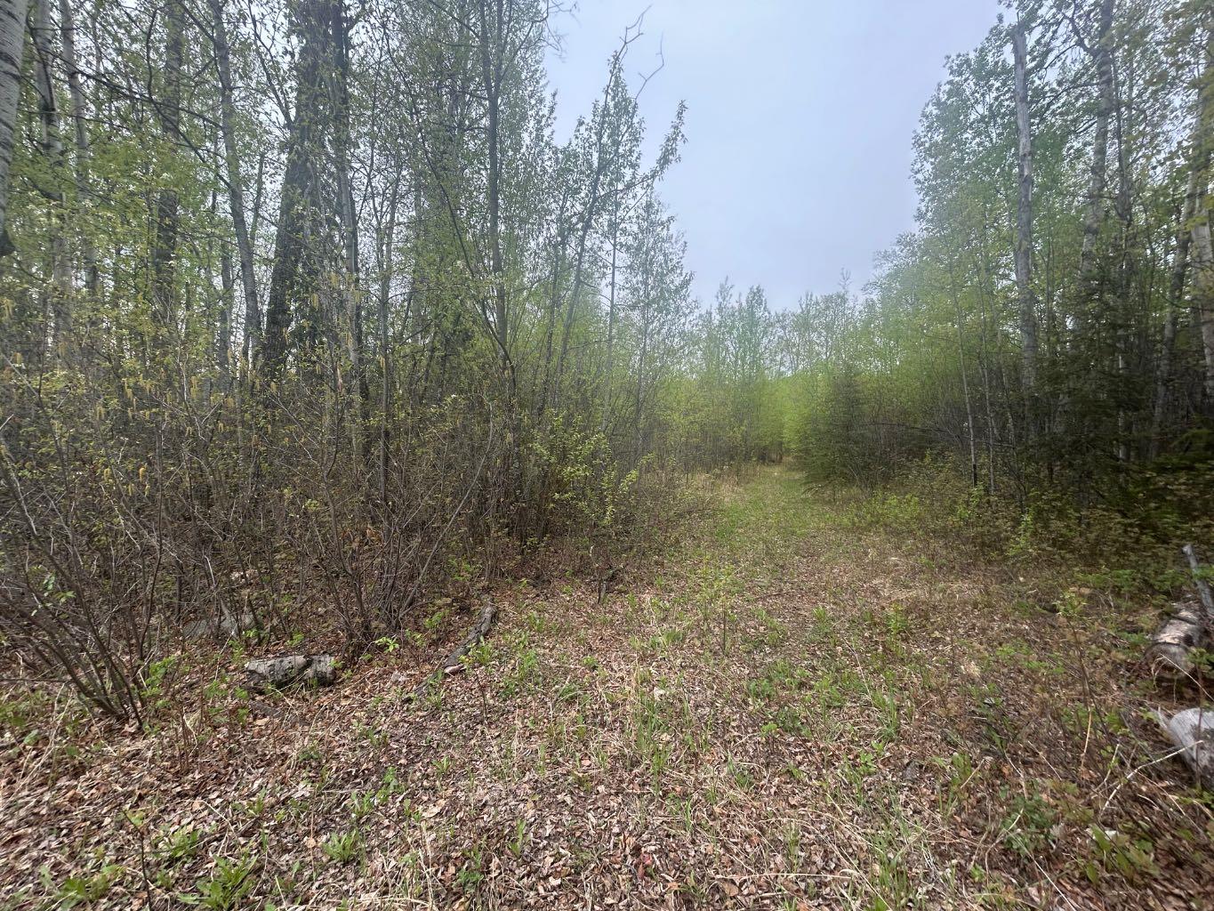 123 Poplar Drive Rr Drive