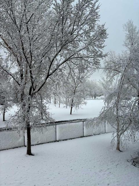 14 Hemlock Crescent SW 7204 Calgary AB T3C 2Z1