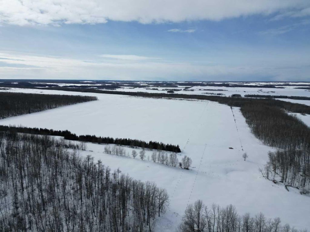 Photo of SE/NE/SW-9-65-23-W4, Rural Athabasca County, AB T9S 2A7 (MLS # A2293539)