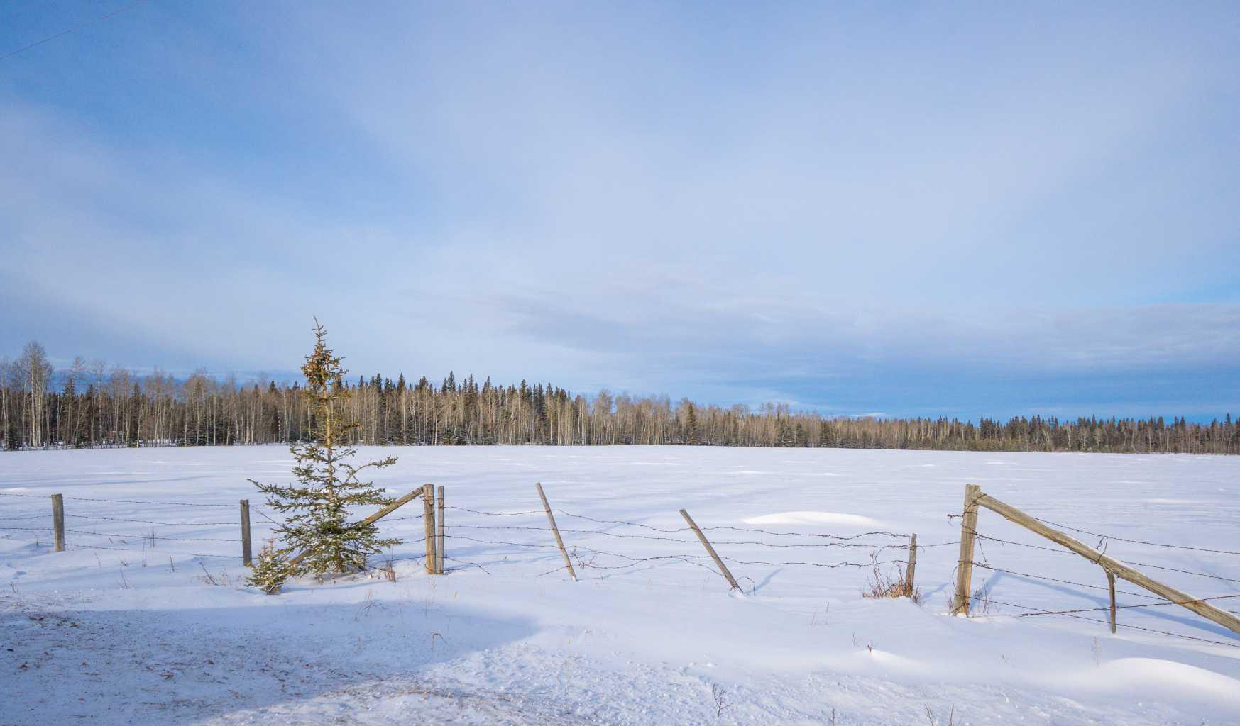 TWP Rd 310 Range Road 52