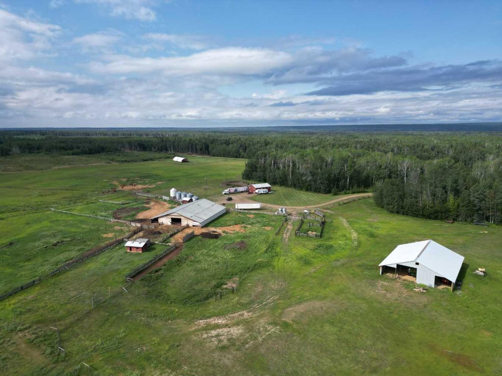 Photo of 993051 Range Road 202, Rural Northern Lights, County of, AB T0H 2G0 (MLS # A2293682)
