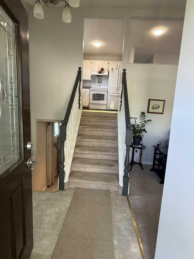 115 Stephens Crescent