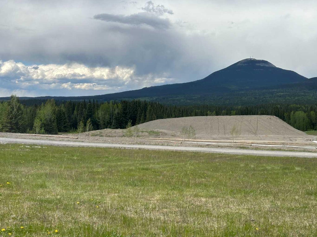 Photo of 304 ELIZABETH Avenue, Nordegg, AB T0M 2H0 (MLS # A2142172)
