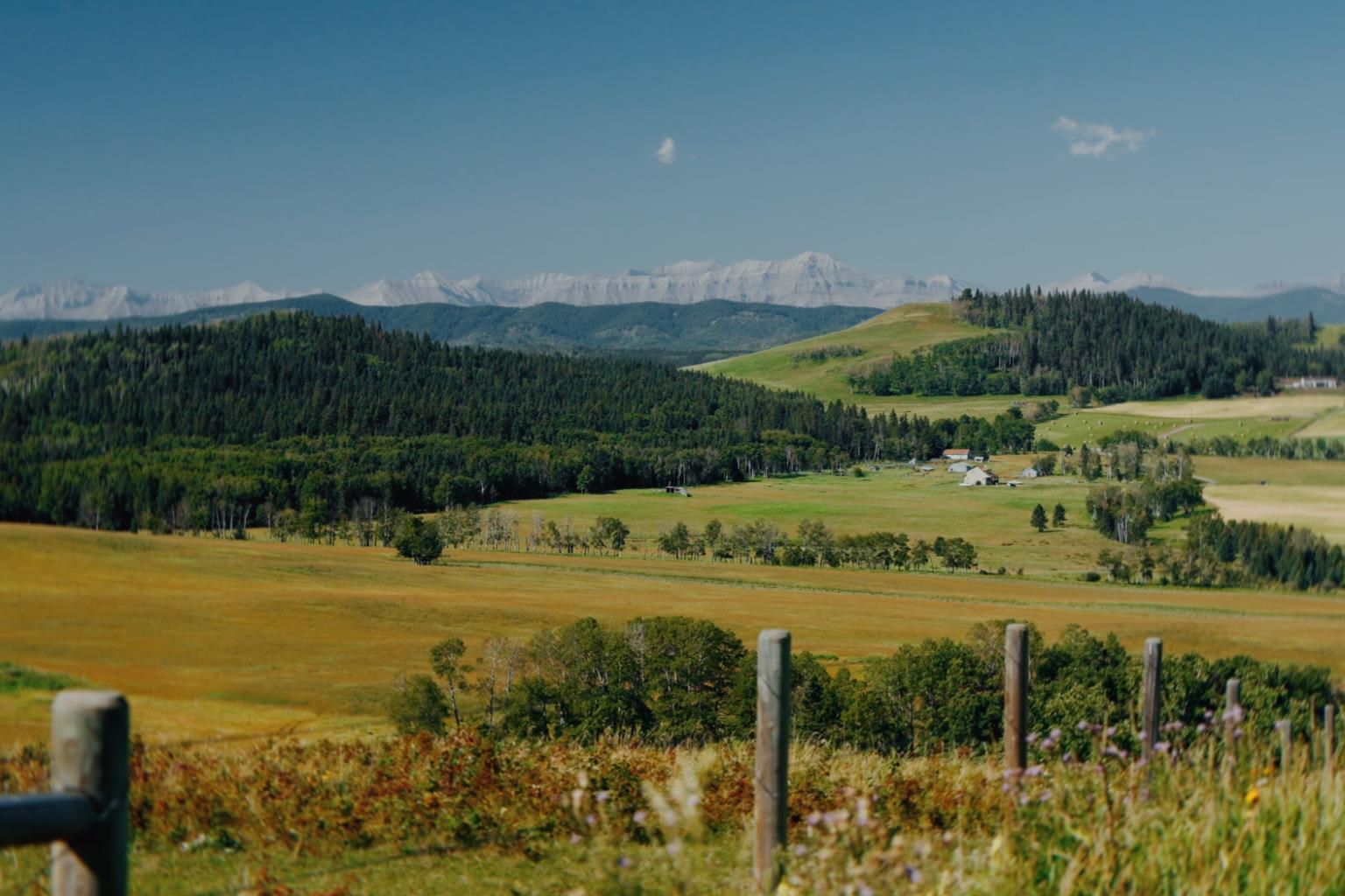 304075 Highway 549 W