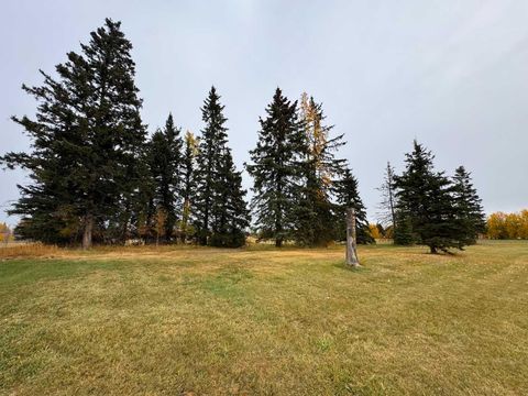 Photo of 108 Meadow Ponds Drive, Rural Clearwater County, AB T4T 1A7 (MLS # A2264721)